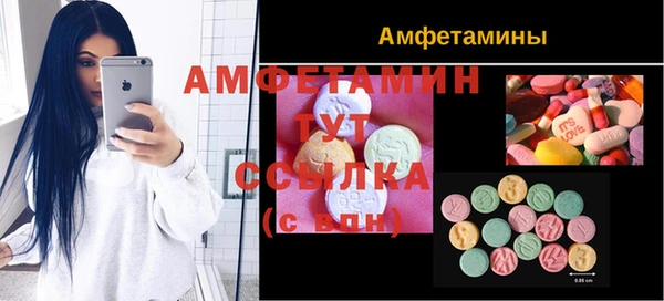 шишки Заводоуковск