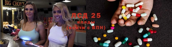 ECSTASY Сосновка