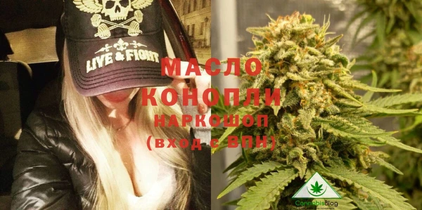 шишки Заводоуковск