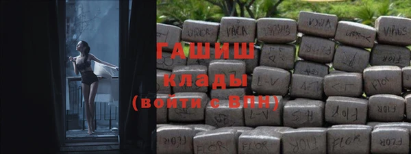 индика Мензелинск