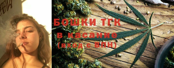 шишки Заводоуковск