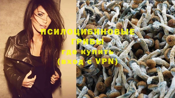 индика Мензелинск
