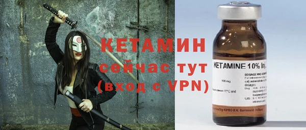 прущие грибы Сосновоборск