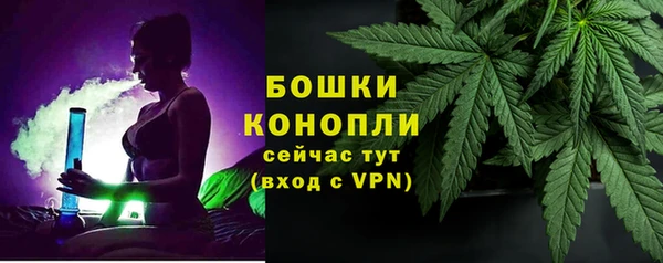 прущие грибы Сосновоборск