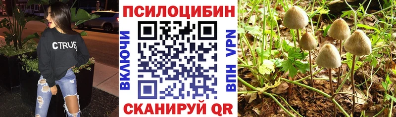 Псилоцибиновые грибы GOLDEN TEACHER  blacksprut как зайти  Судогда 